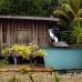 raincatcher_village_h_0705_0060.jpg
